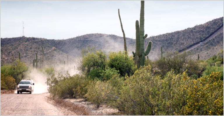 View of pickup truck driving toward viewer on a gravel road in the Sonoran Desert with saguaros and creosote bush.